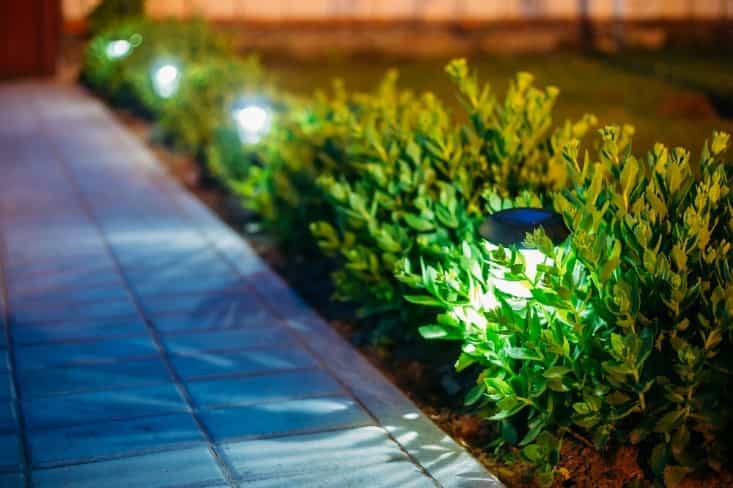 Solar lights line the walkway