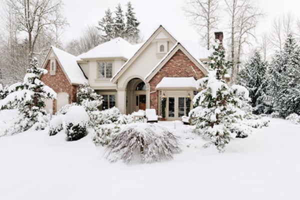 Home in the snow