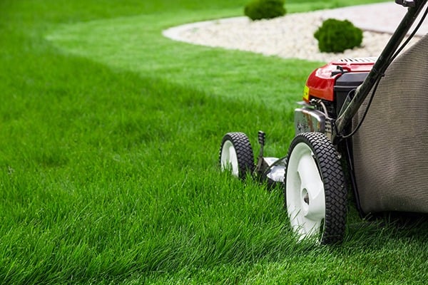 lawn mower on green grass