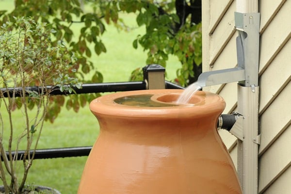 barrel catching rain water from gutter