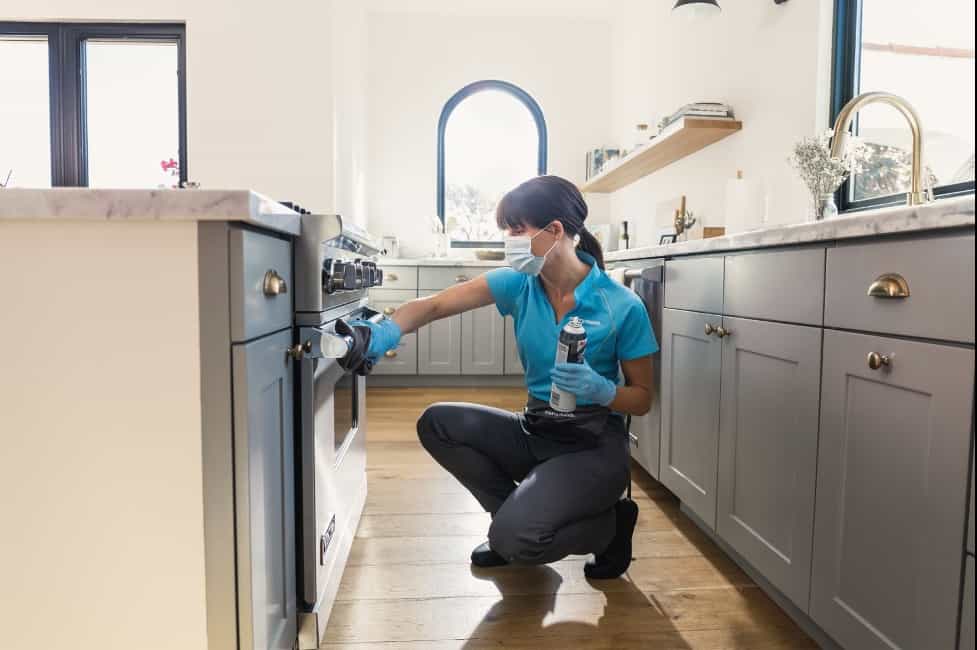 woman cleaning a kitchen oven