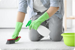 A person cleaning a carpet stain.