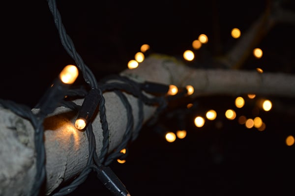 String light tree