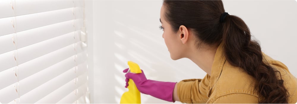 A woman with a spray bottle, cleaning.