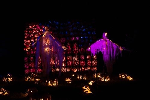 jack-o-lantern blaze