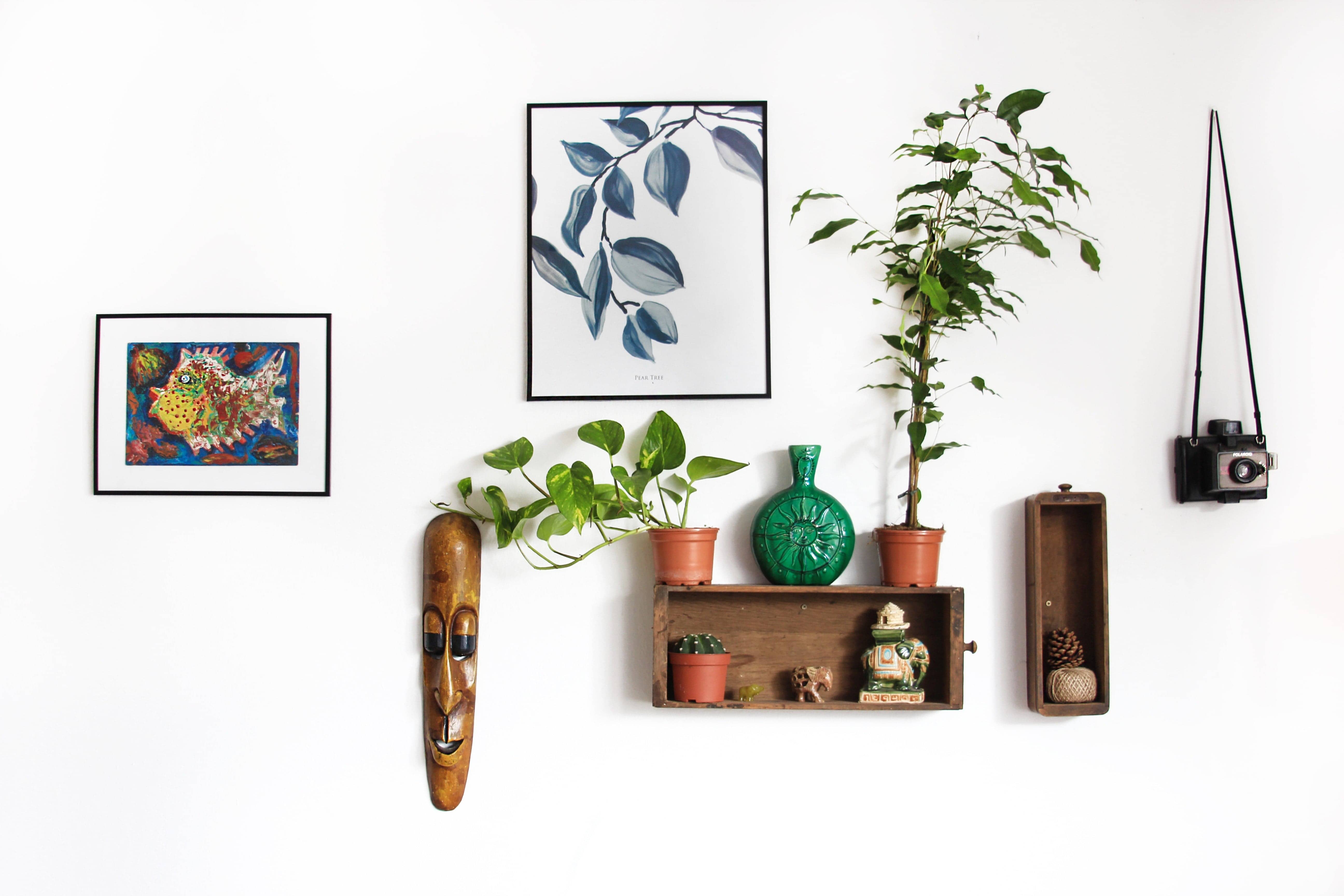 potted plants on wall shelves with pictures