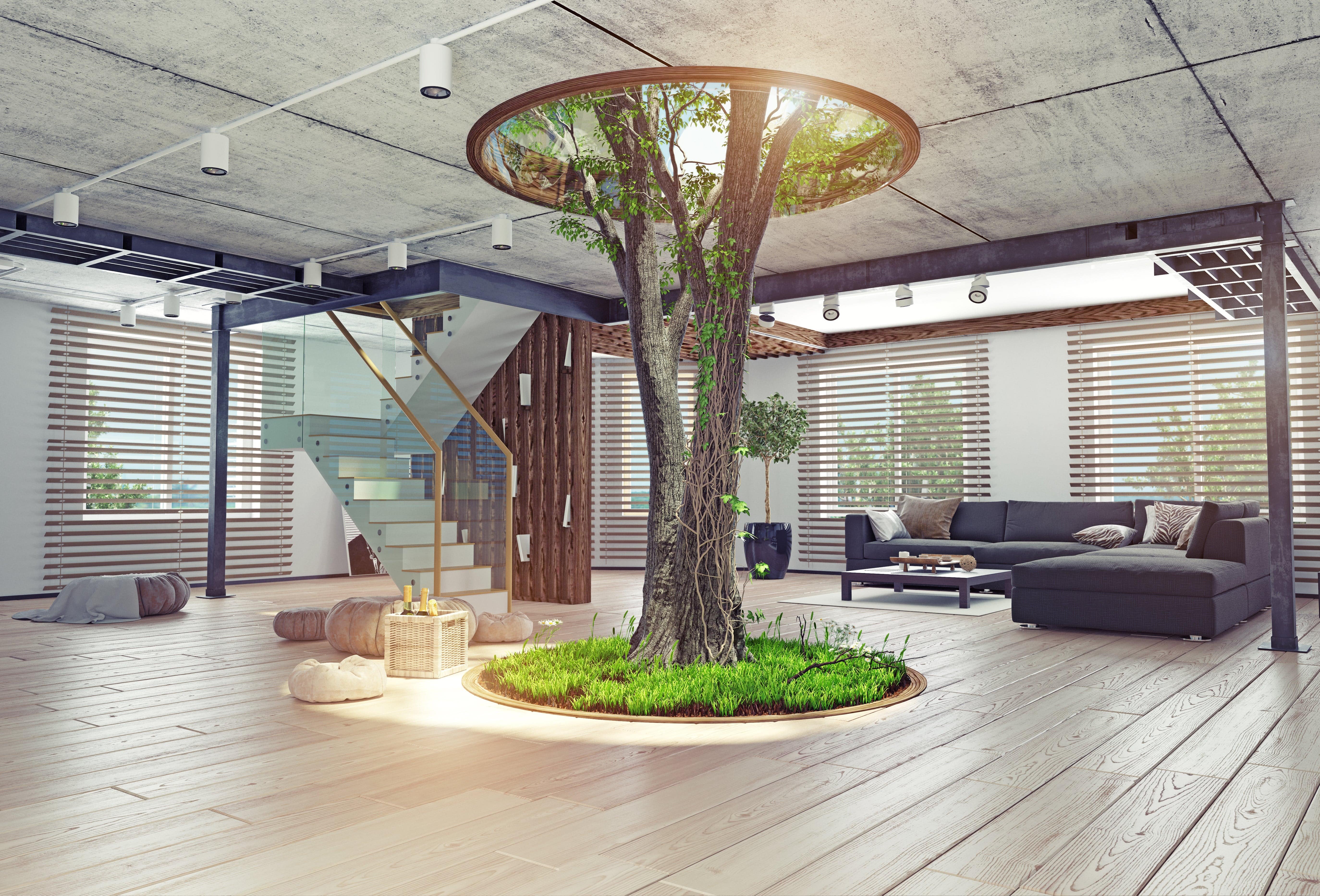 live tree planted in the middle of a room