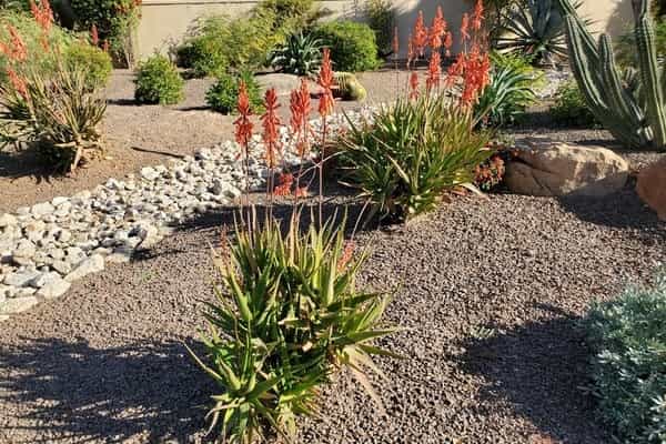 landscaping with rocks