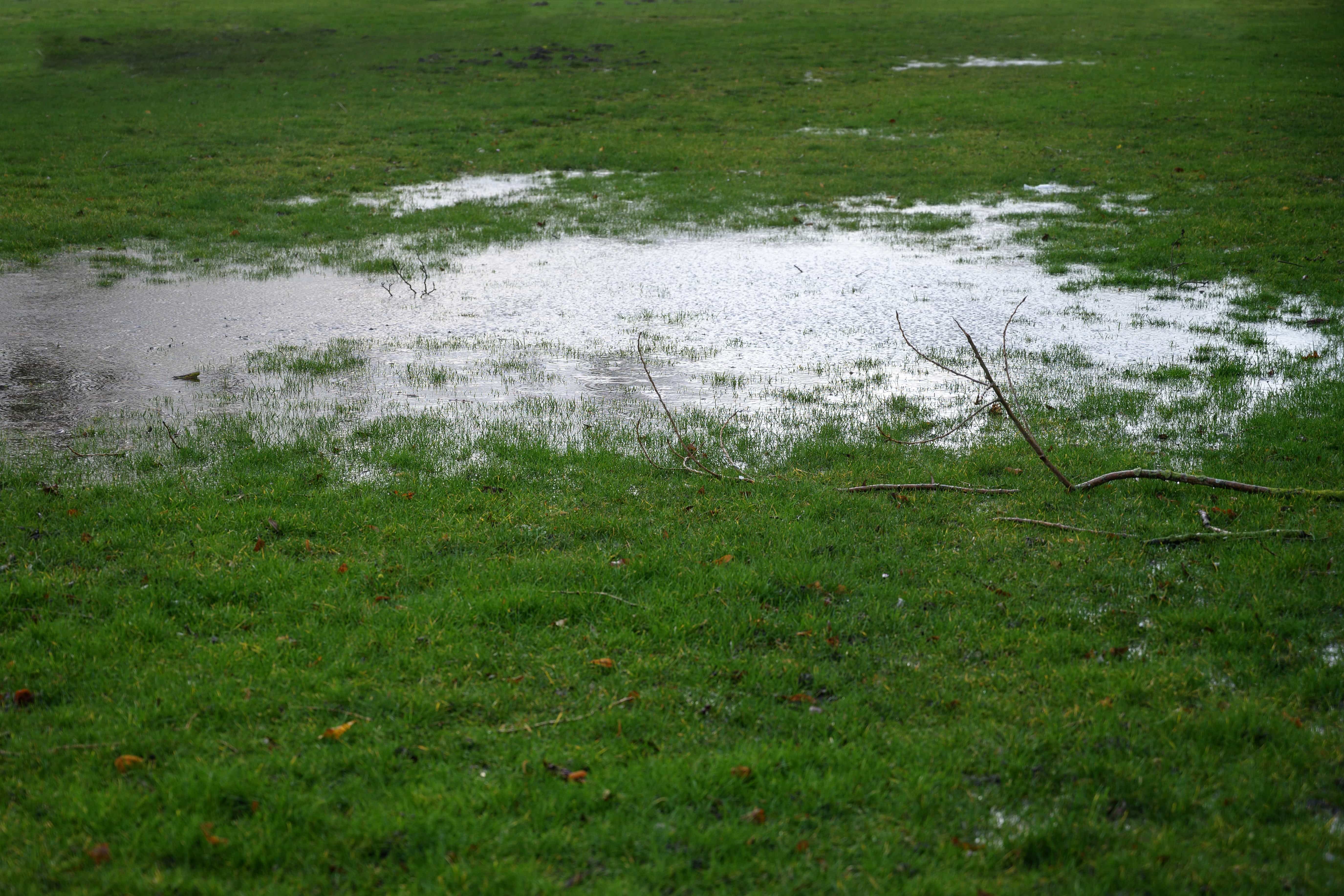 standing water in yard 1