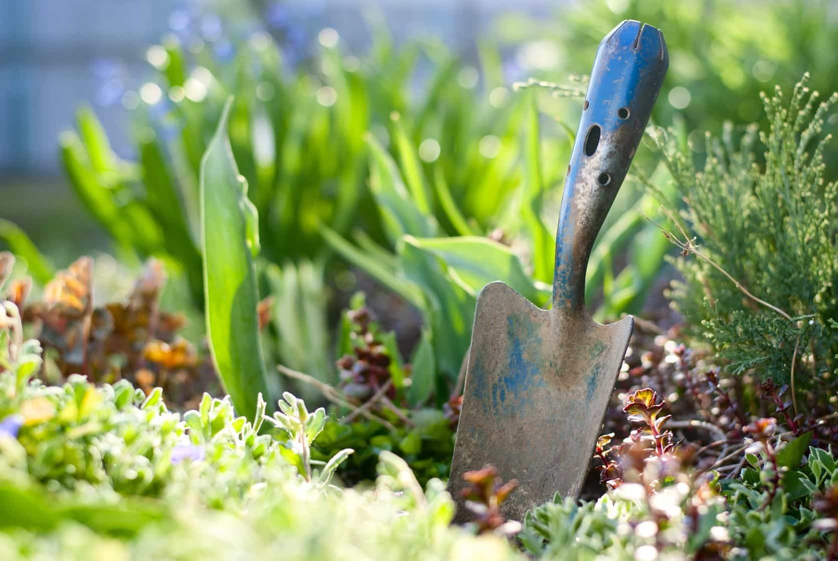 hand trowel