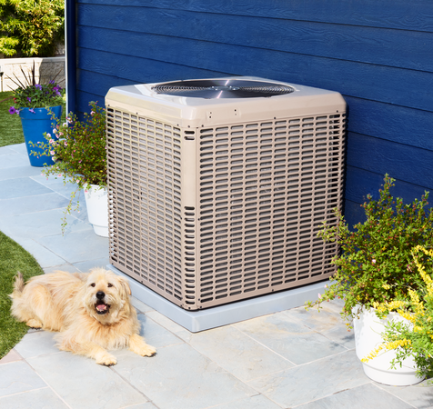 Woman%20adjusting%20a%20thermostat%20with%20a%20man%20in%20the%20background.