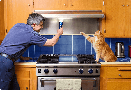Man inspecting oven hood while orange cat helps